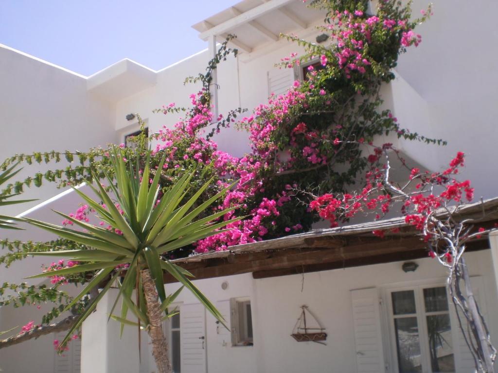 Paros Rita Studios Piso Livadi Luaran gambar