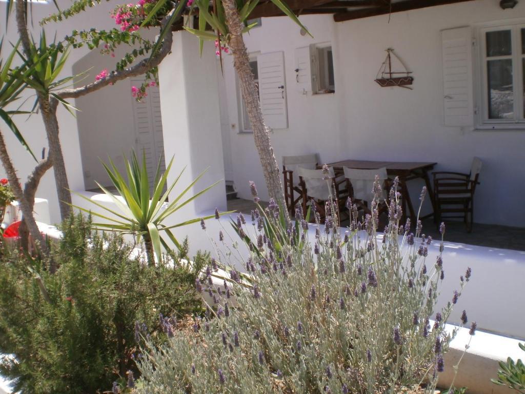Paros Rita Studios Piso Livadi Luaran gambar